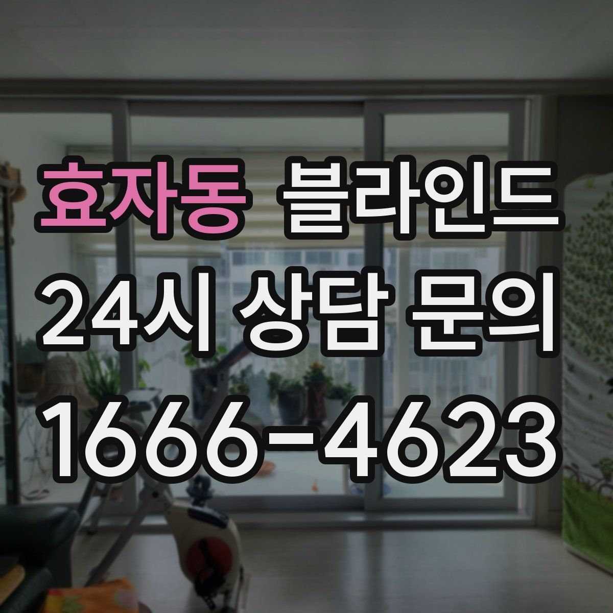 효자동 블라인드