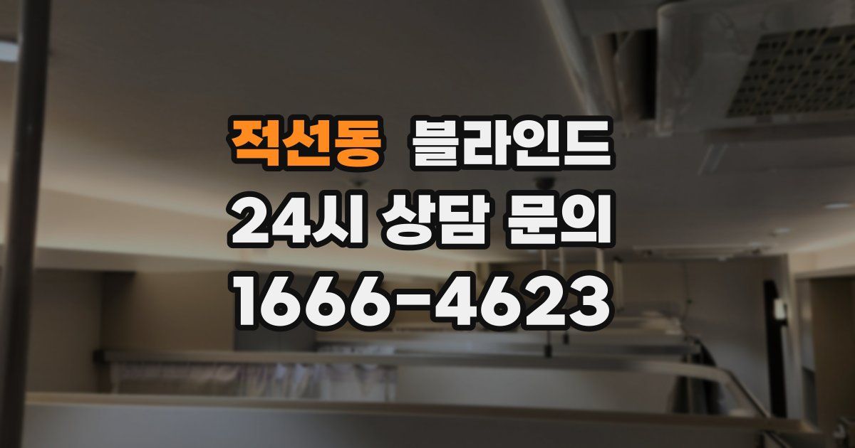 적선동 블라인드
