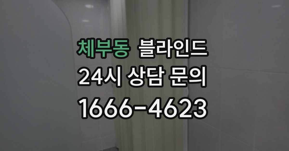 체부동 블라인드