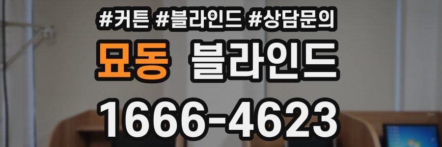 묘동 블라인드