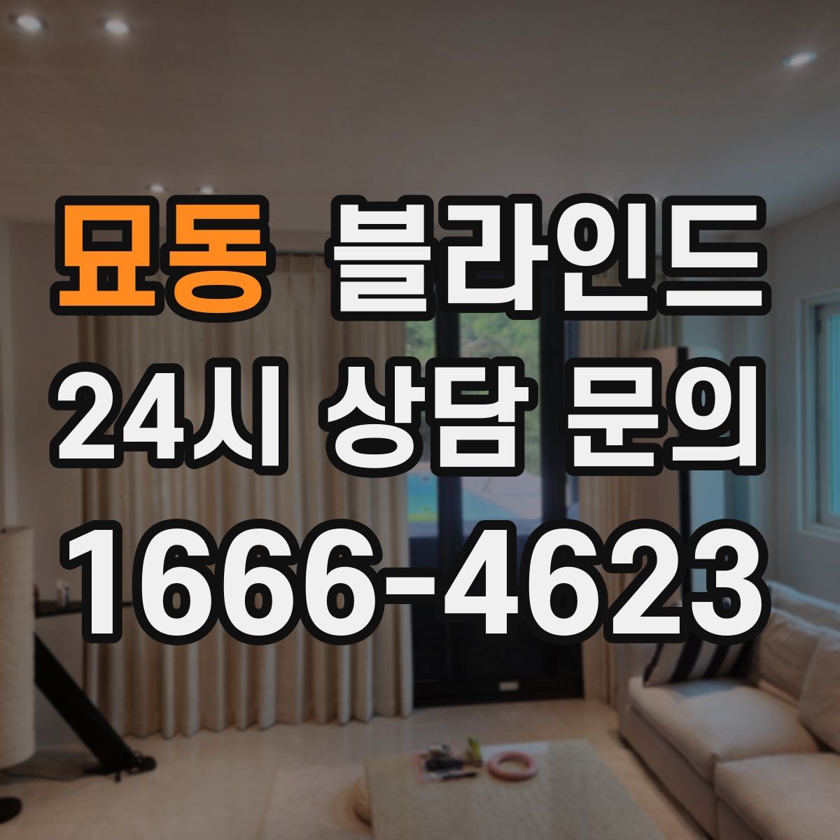 묘동 블라인드
