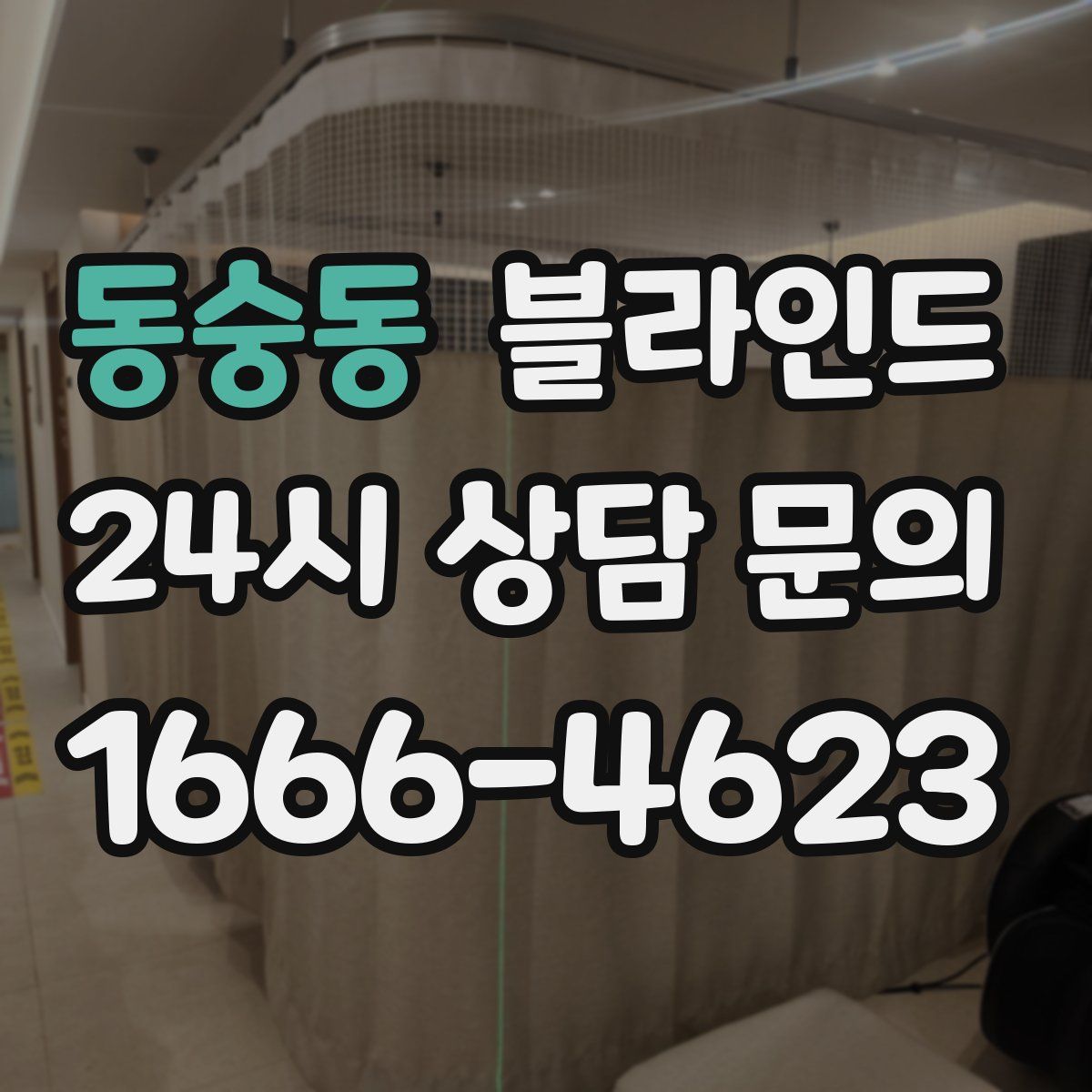 동숭동 블라인드