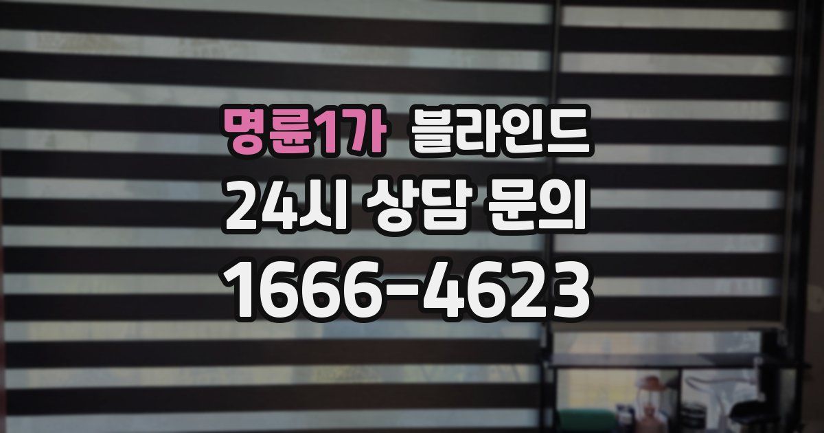 명륜1가 블라인드