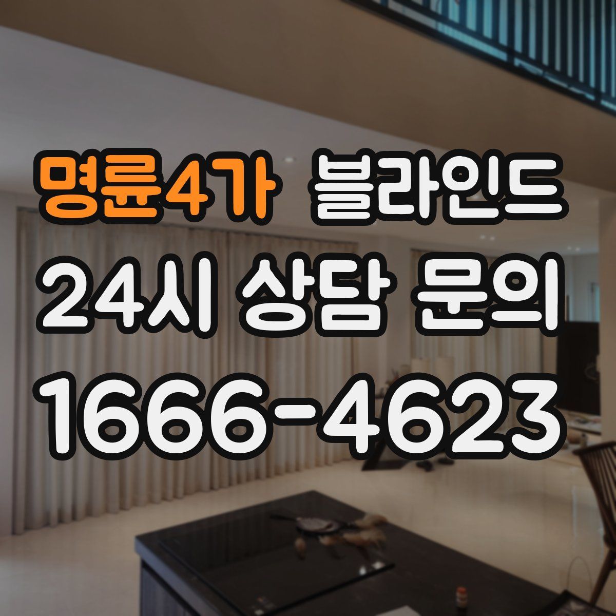 명륜4가 블라인드