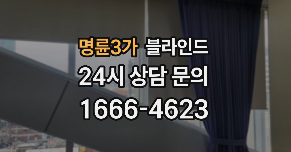 명륜3가 블라인드