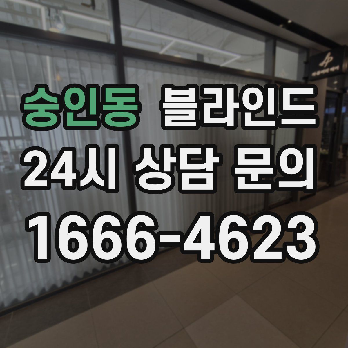 숭인동 블라인드