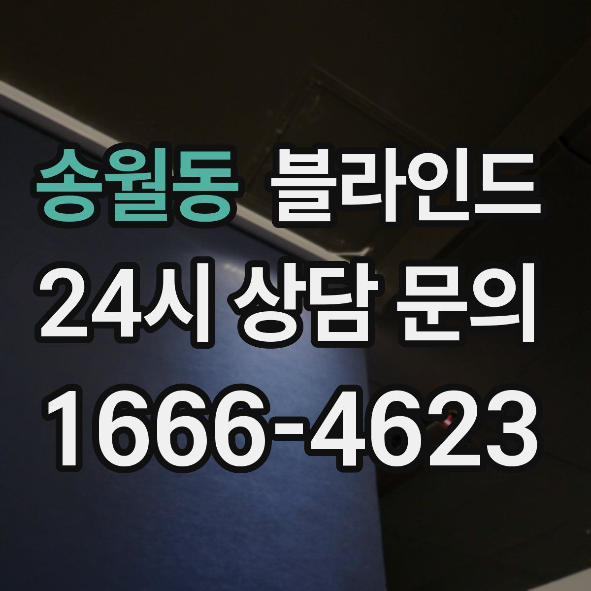 송월동 블라인드
