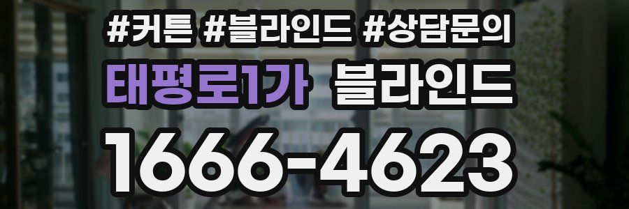 태평로1가 블라인드