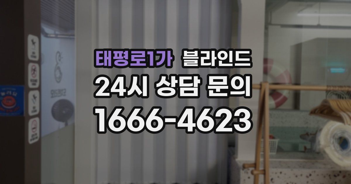 태평로1가 블라인드