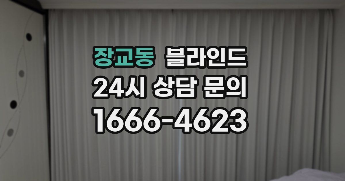 장교동 블라인드