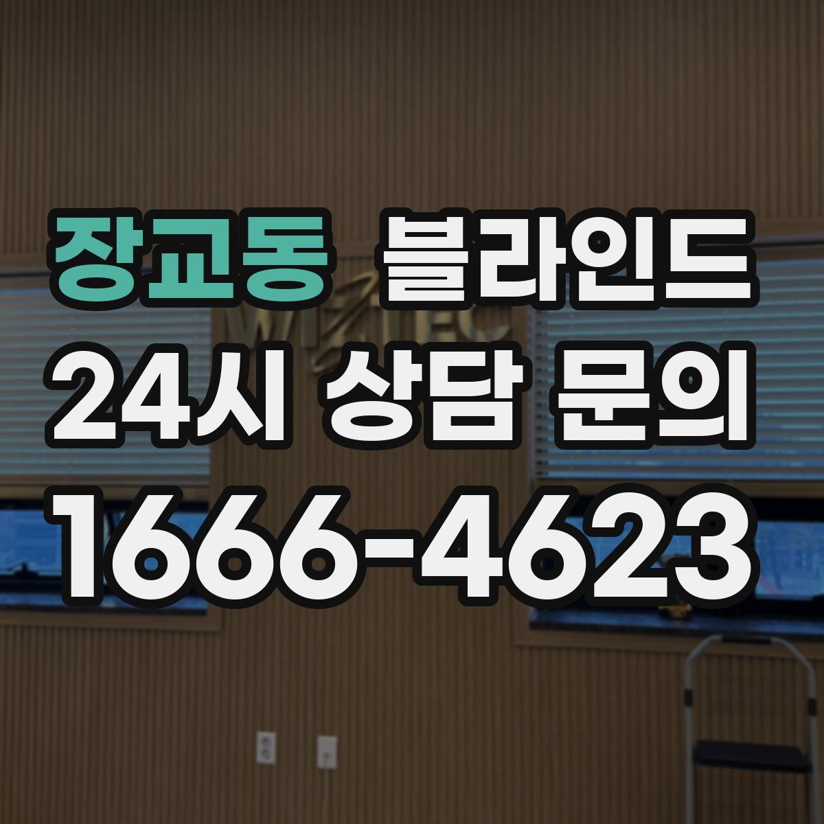 장교동 블라인드