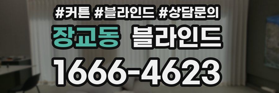 장교동 블라인드