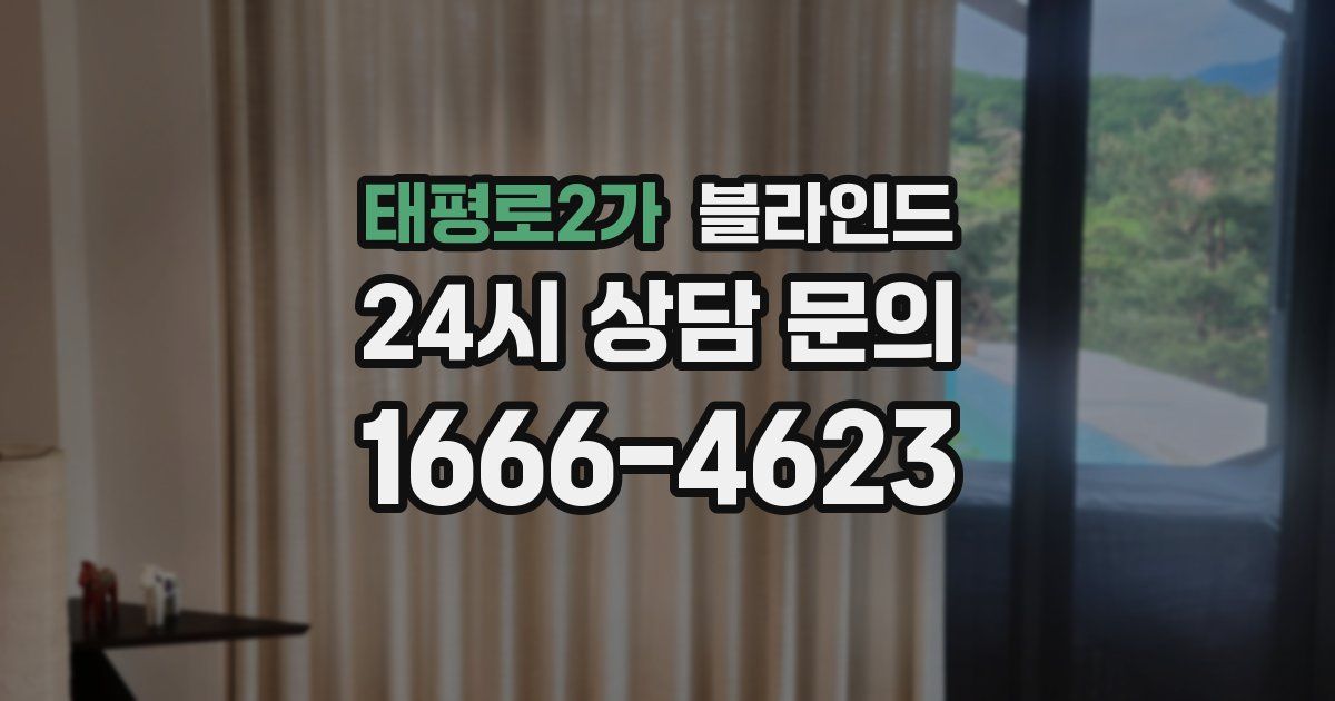 태평로2가 블라인드