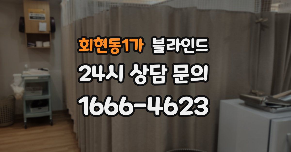 회현동1가 블라인드