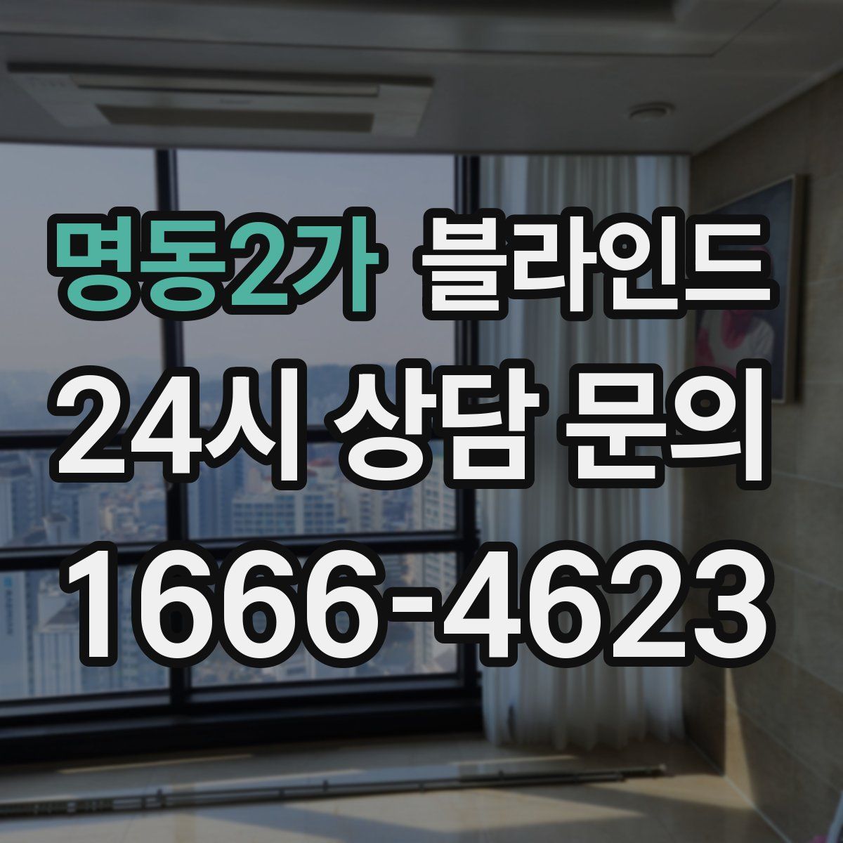 명동2가 블라인드