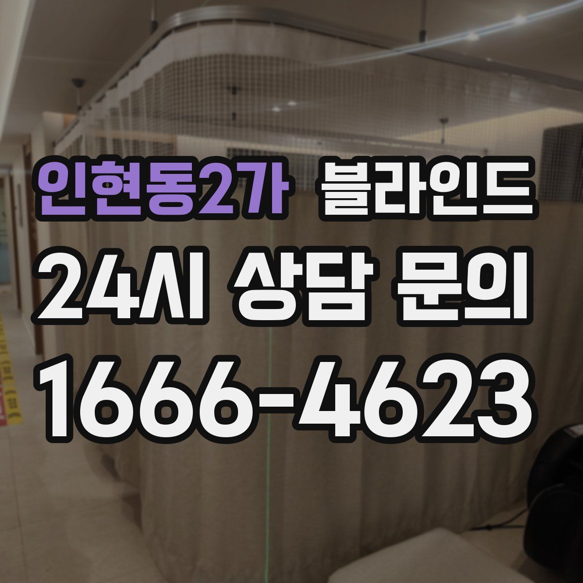 인현동2가 블라인드