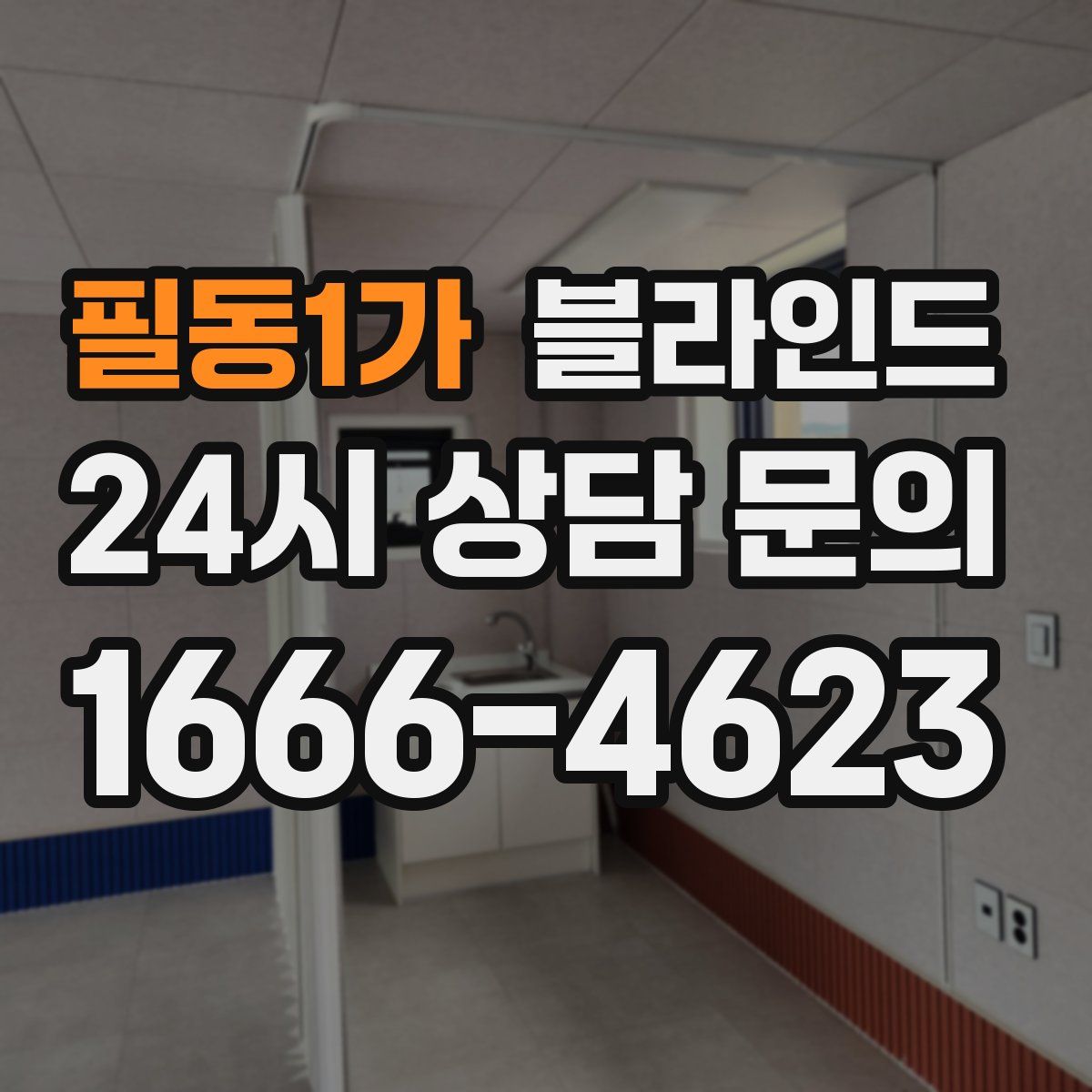 필동1가 블라인드