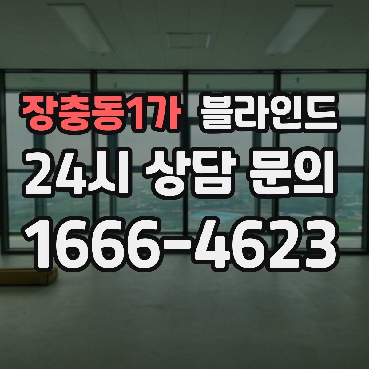 장충동1가 블라인드