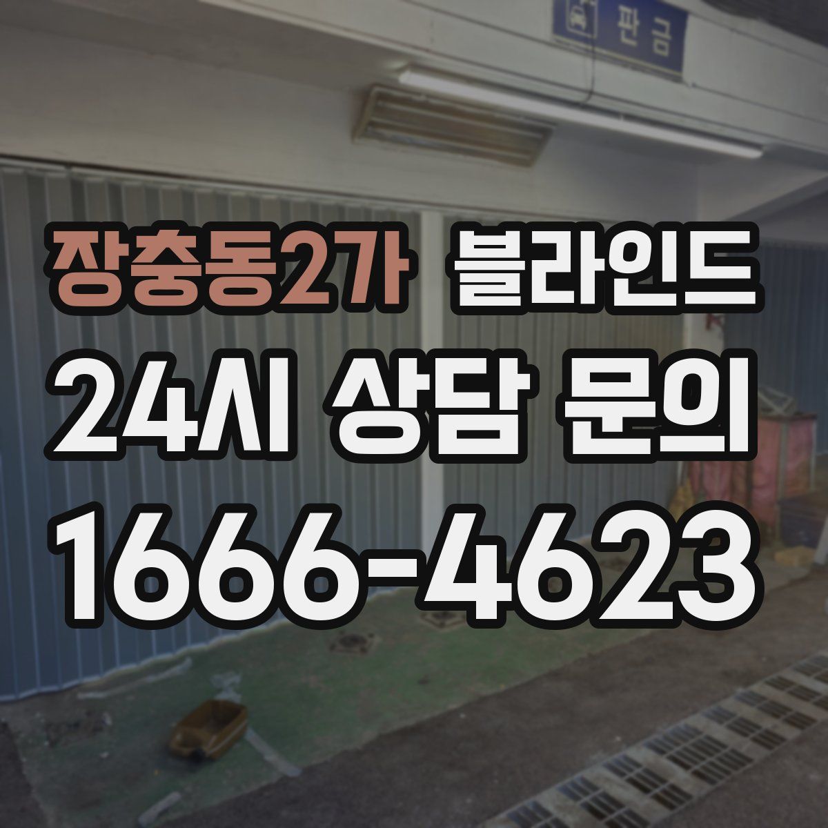 장충동2가 블라인드