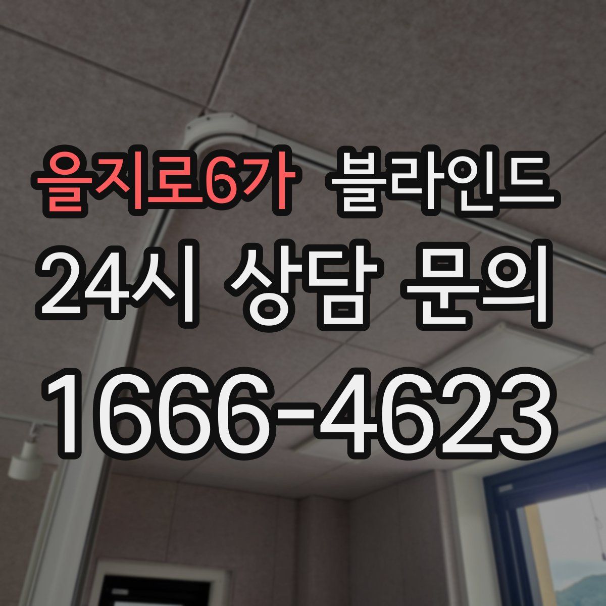 을지로6가 블라인드
