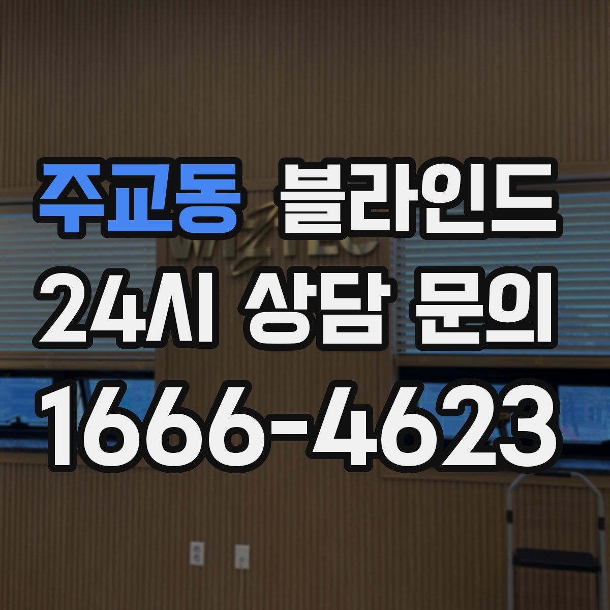 주교동 블라인드
