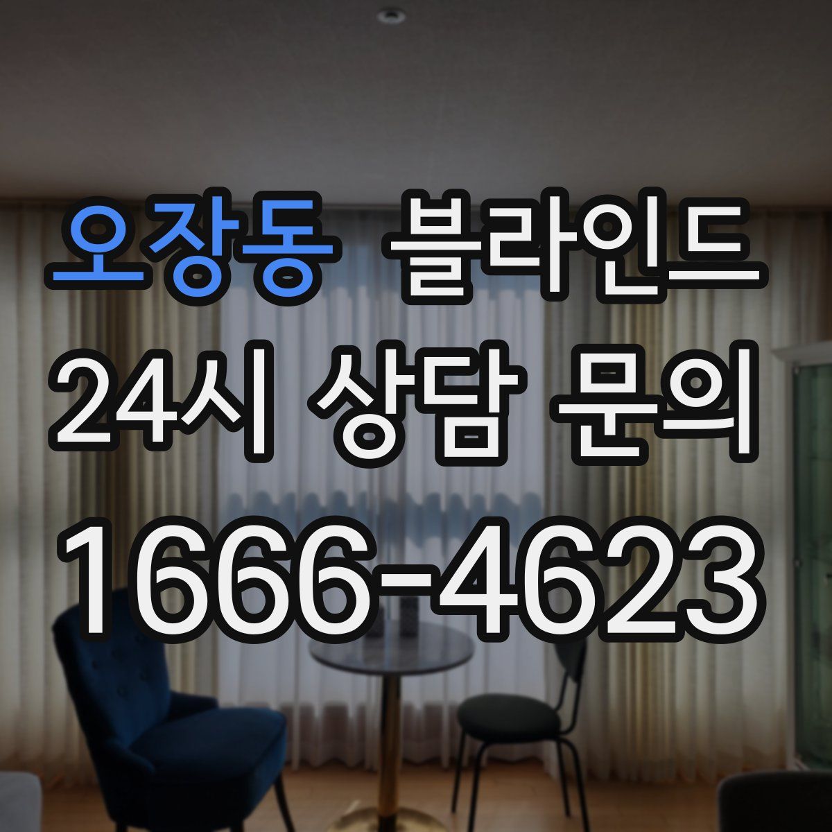 오장동 블라인드