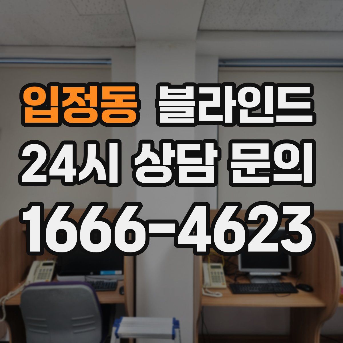 입정동 블라인드