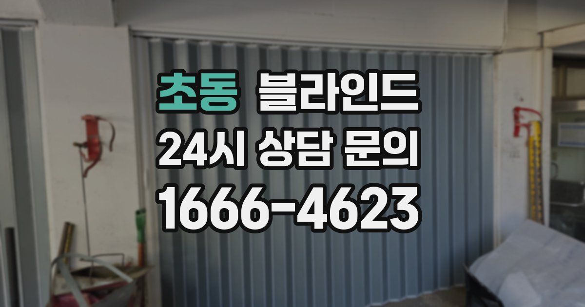 초동 블라인드