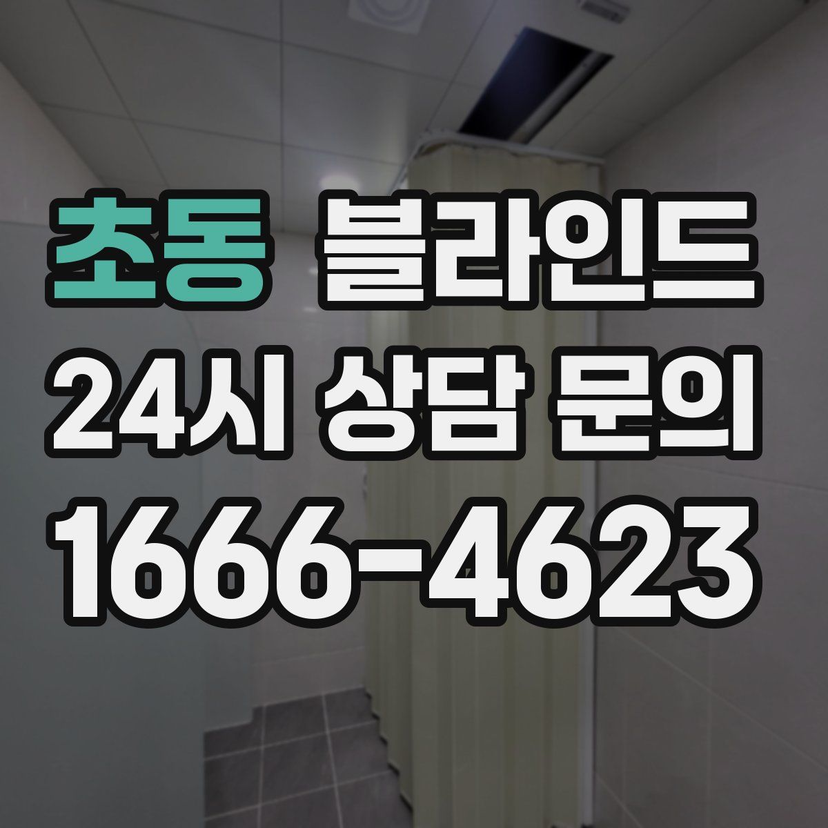 초동 블라인드