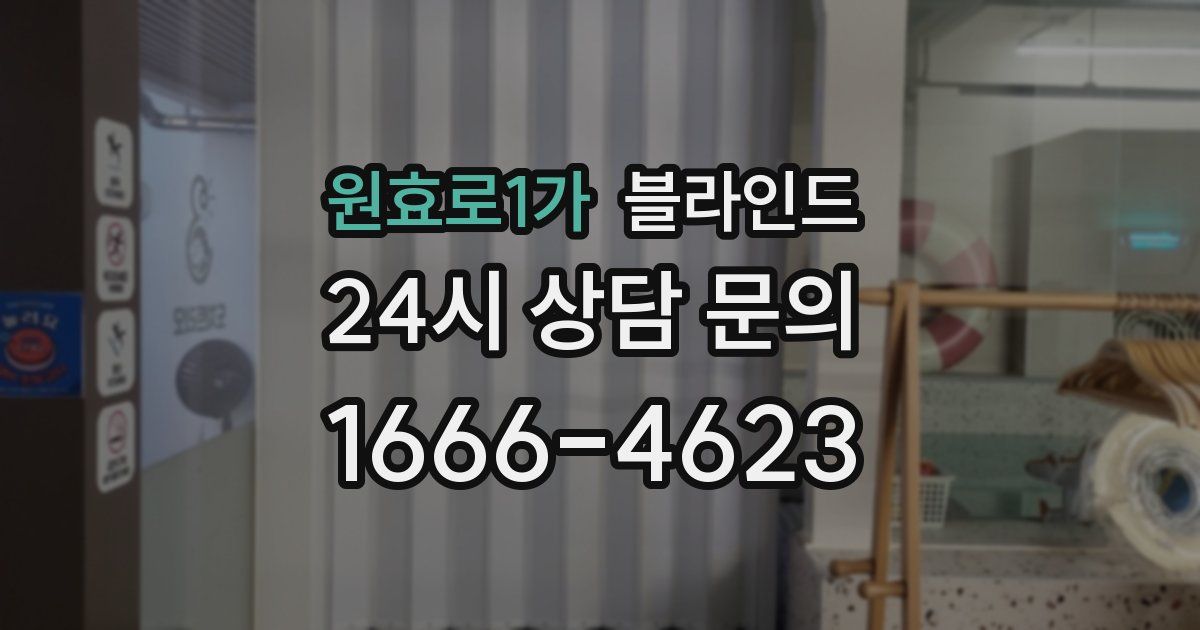 원효로1가 블라인드
