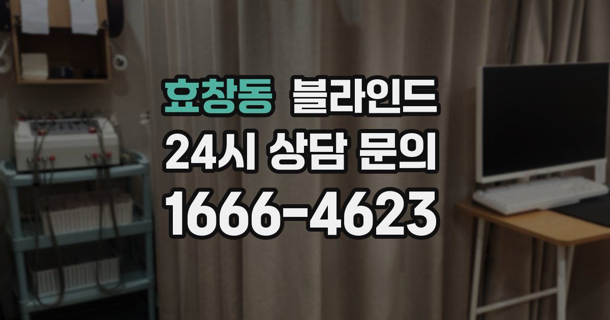 효창동 블라인드