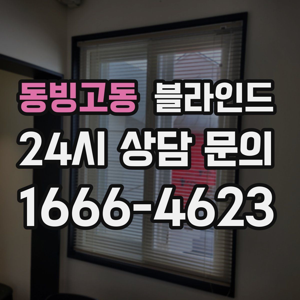 동빙고동 블라인드