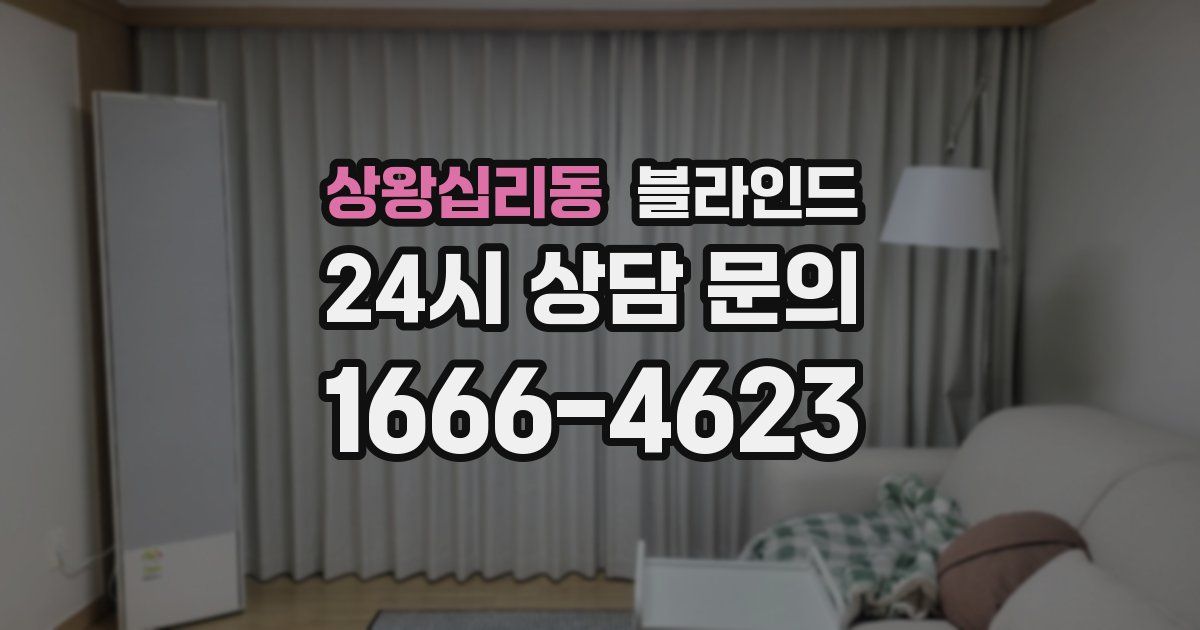 상왕십리동 블라인드