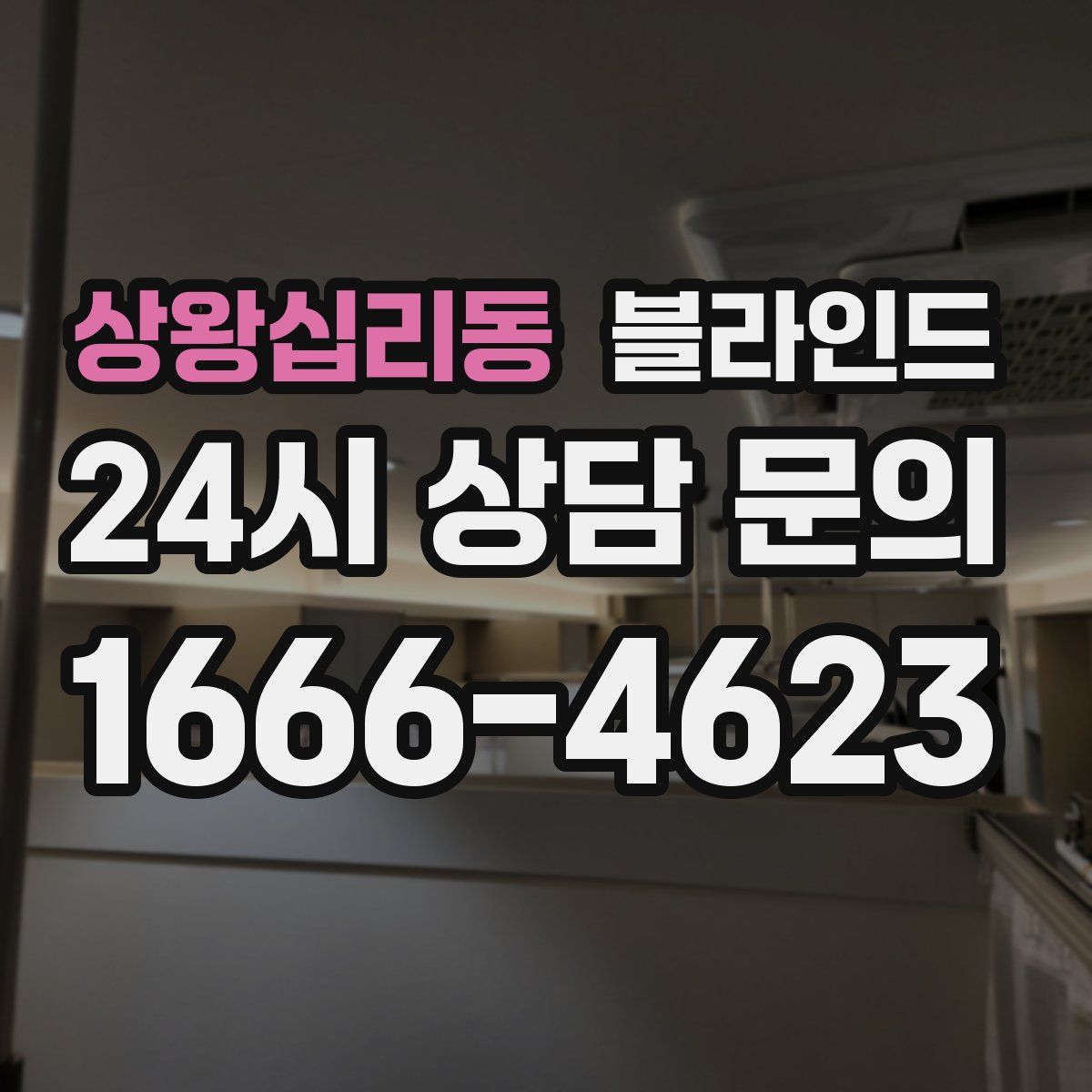 상왕십리동 블라인드
