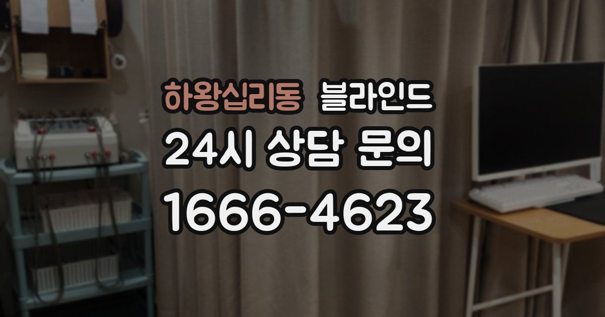 하왕십리동 블라인드