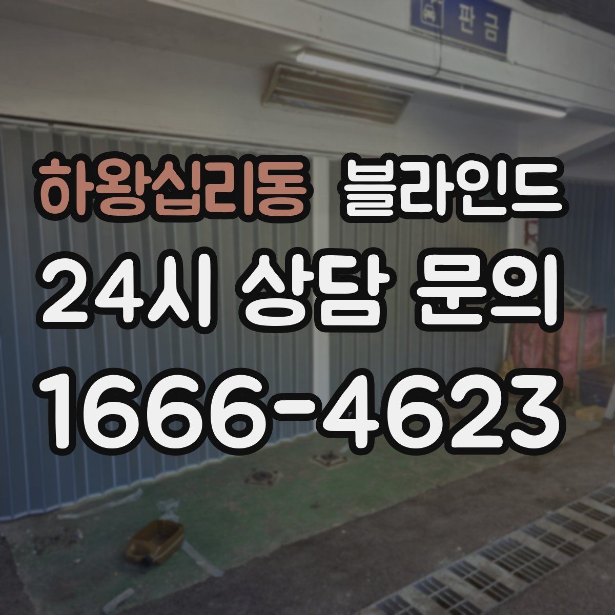 하왕십리동 블라인드