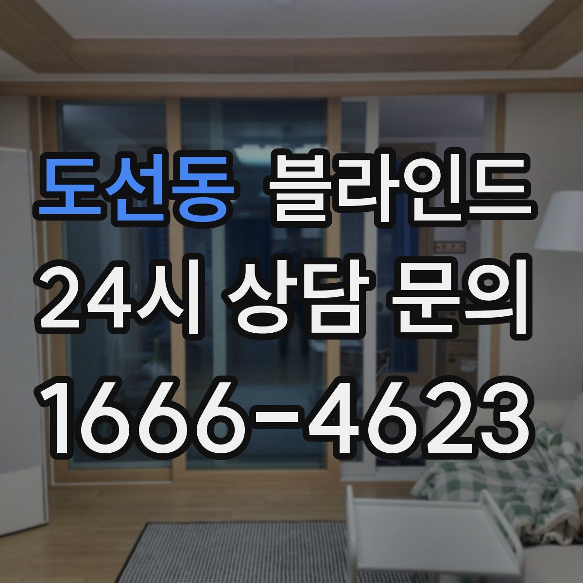 도선동 블라인드
