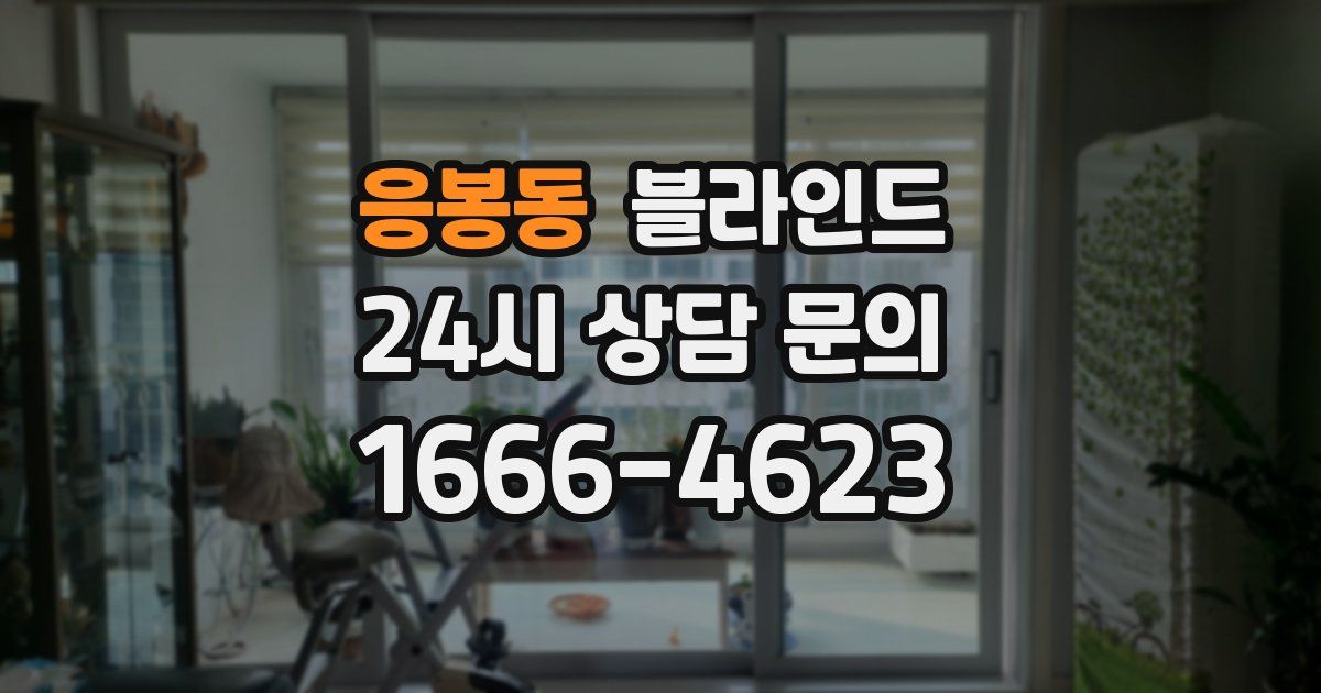 응봉동 블라인드