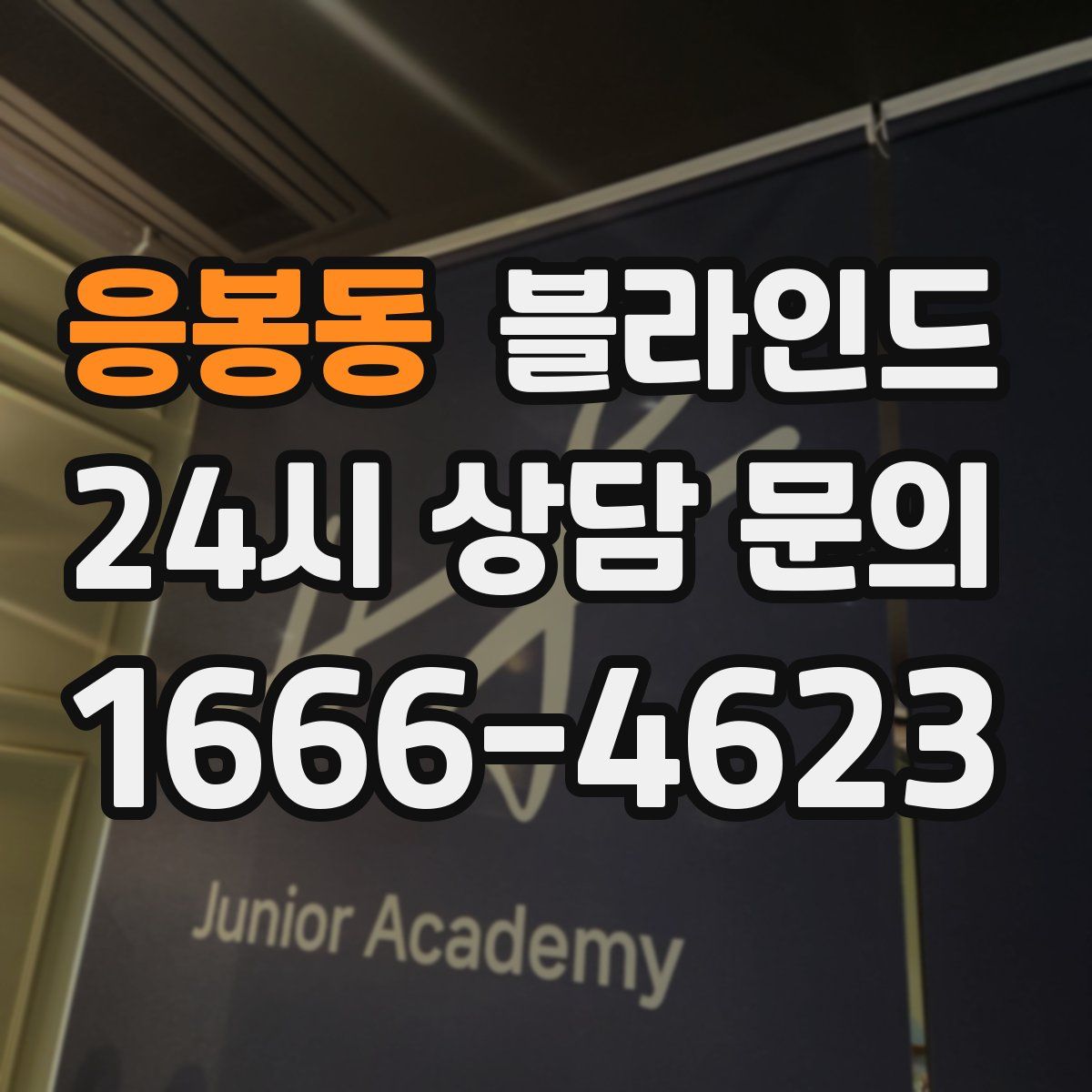 응봉동 블라인드