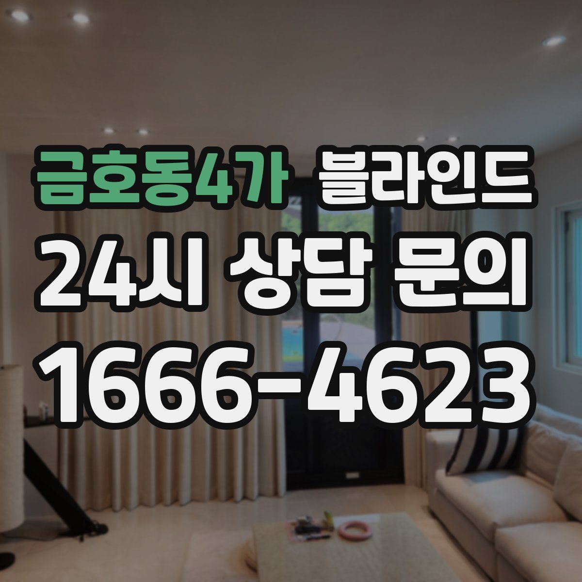 금호동4가 블라인드