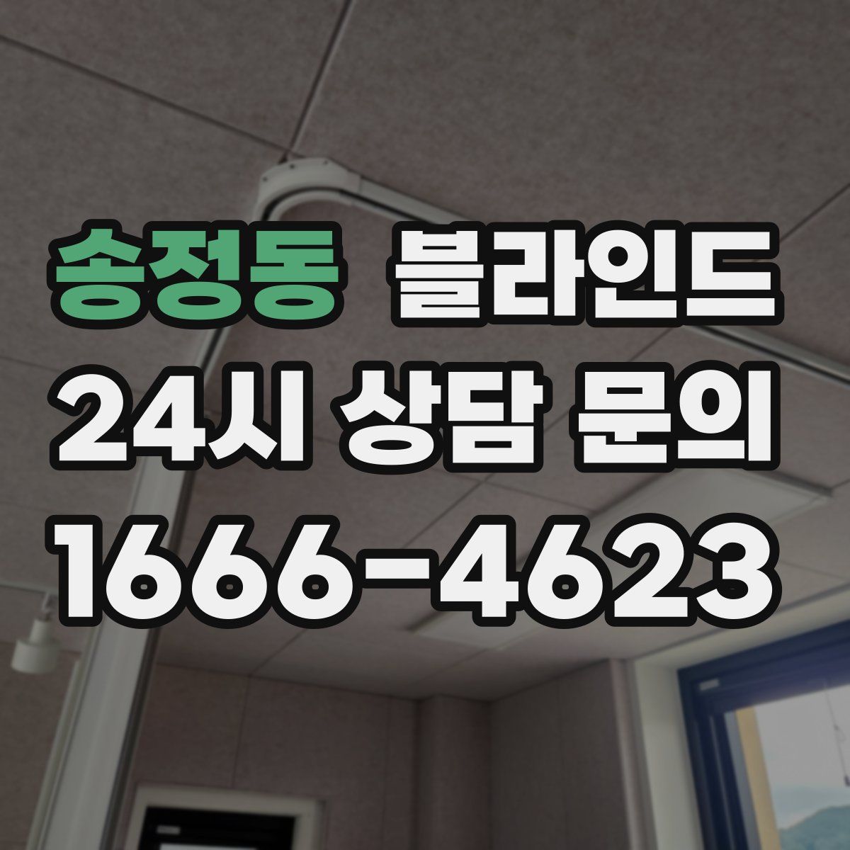 송정동 블라인드