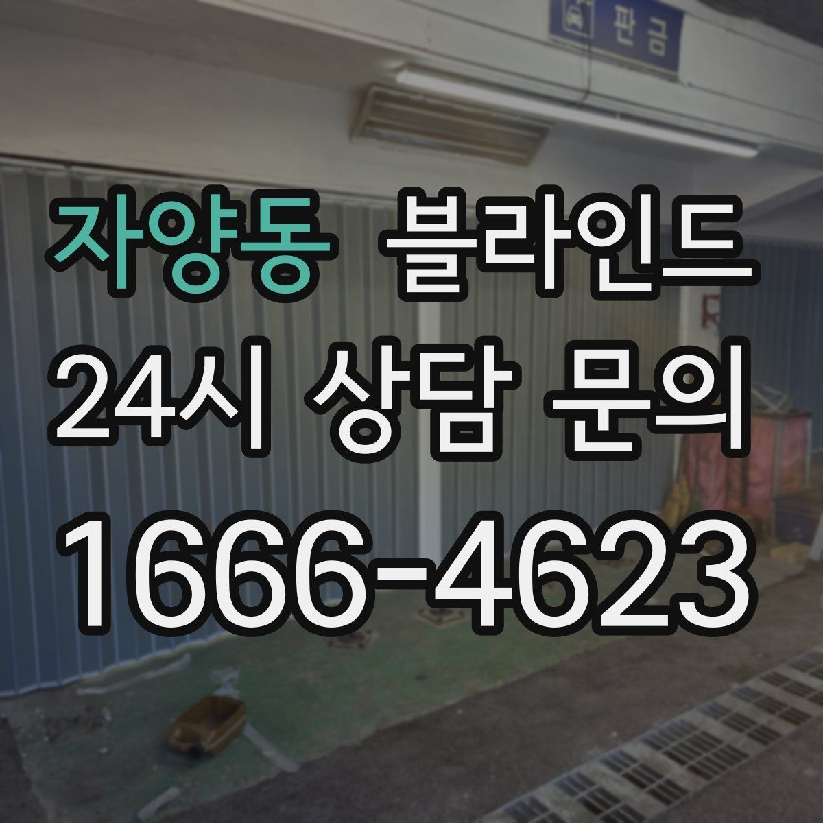 자양동 블라인드