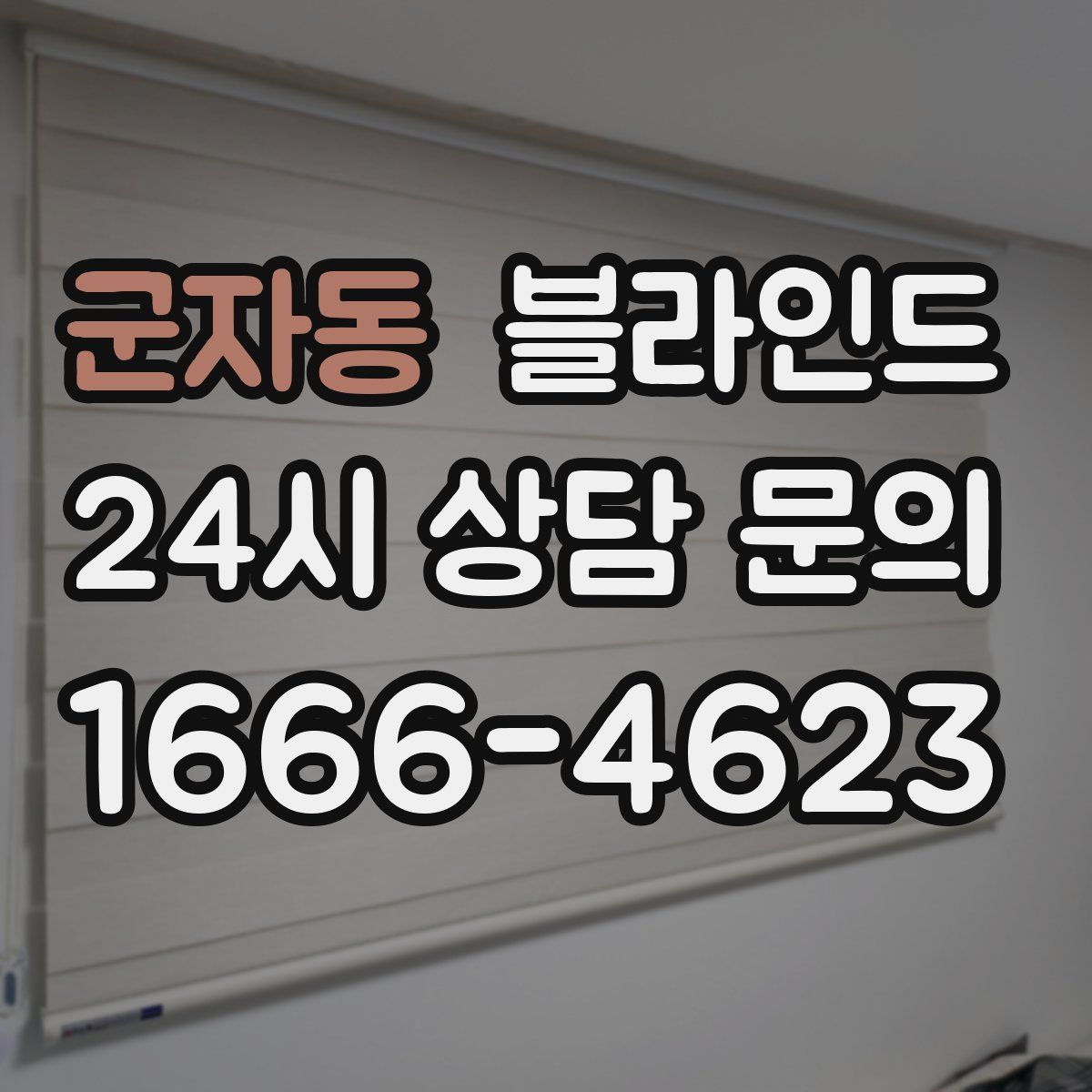 군자동 블라인드