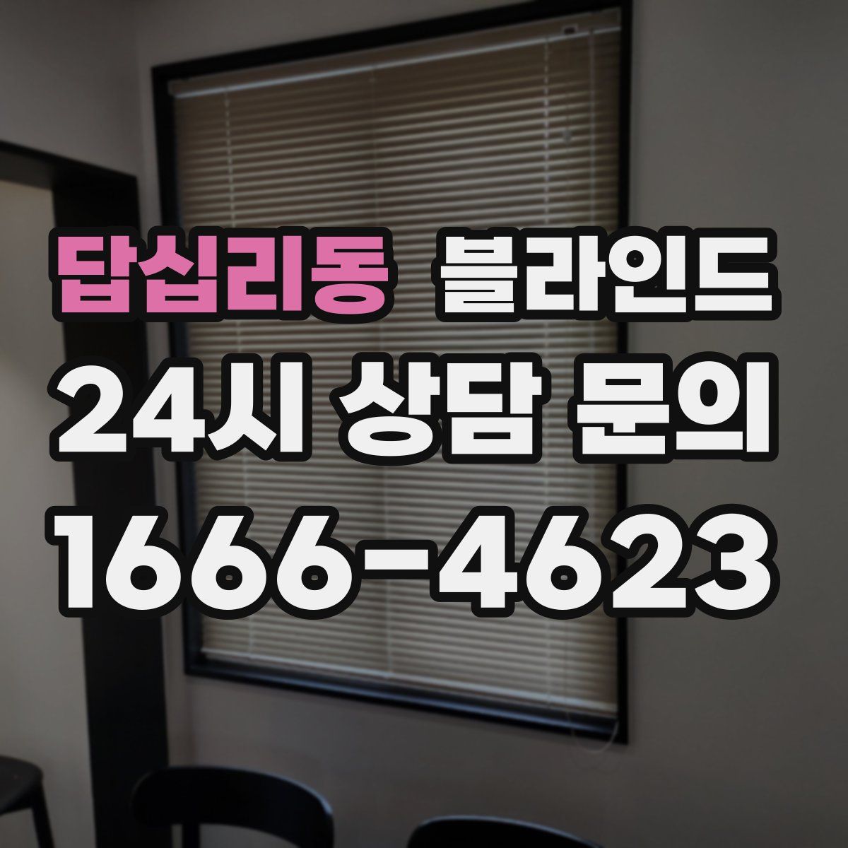 답십리동 블라인드