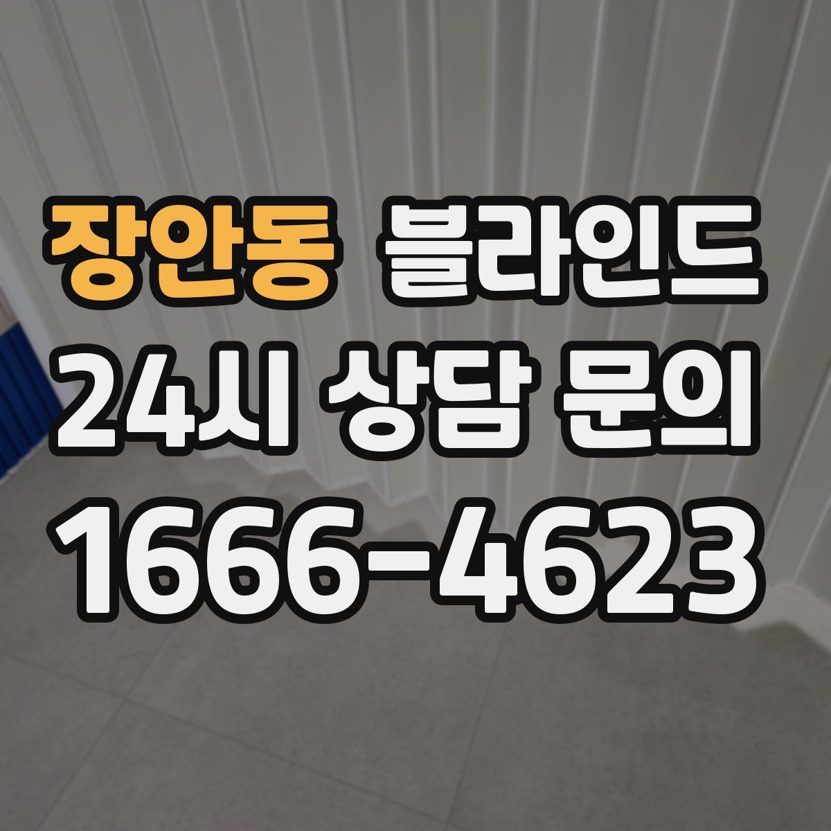 장안동 블라인드