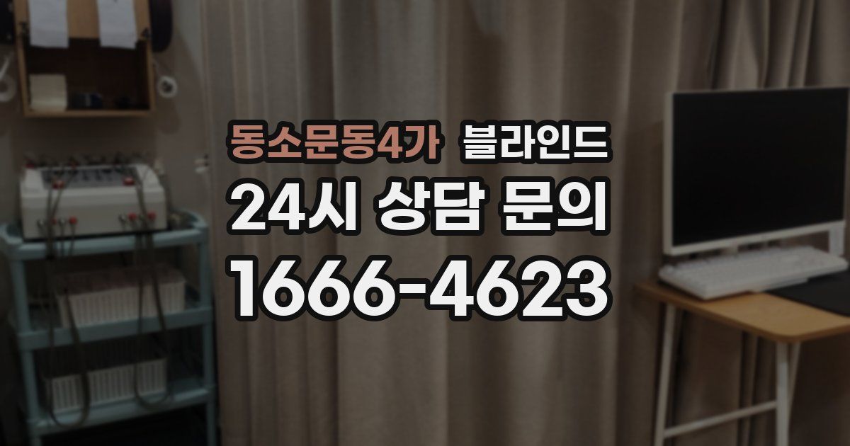 동소문동4가 블라인드