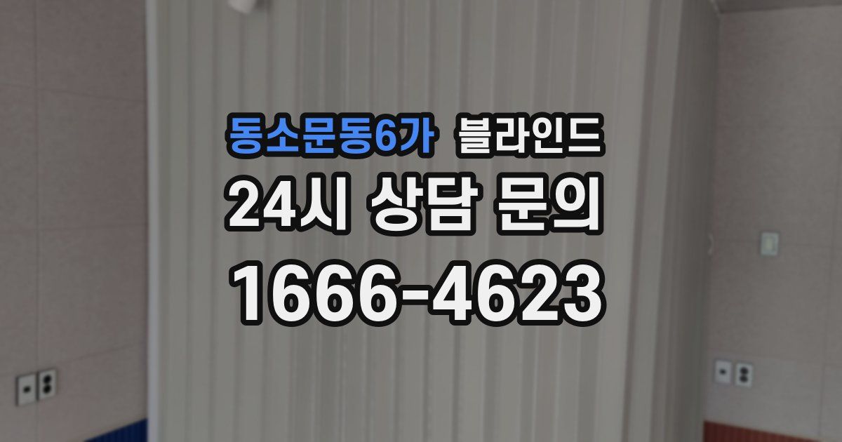 동소문동6가 블라인드