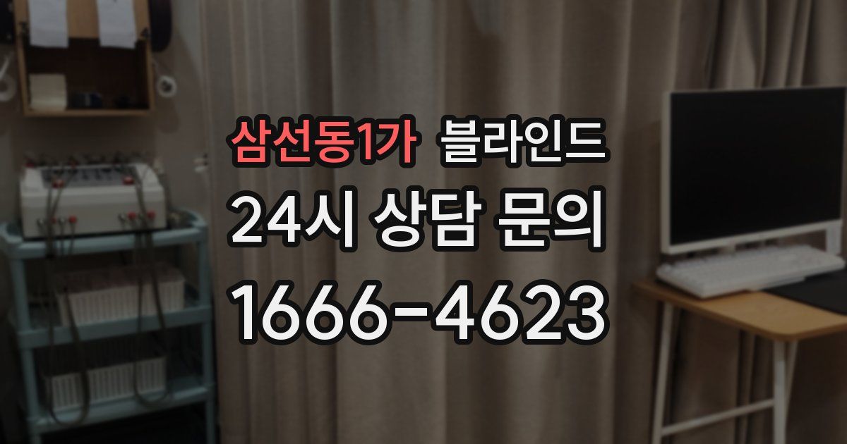 삼선동1가 블라인드