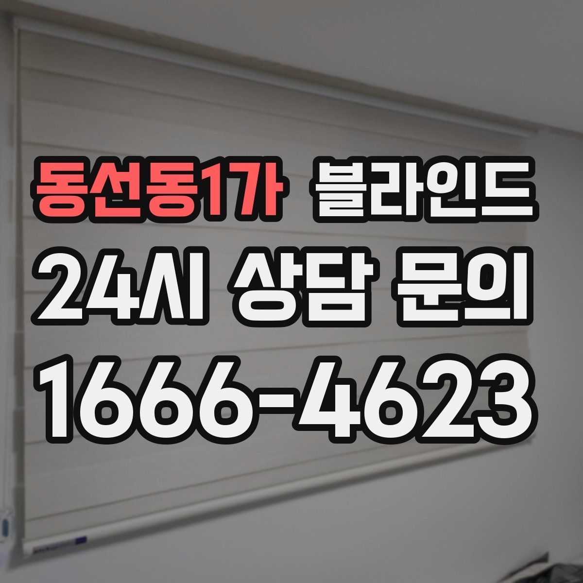 동선동1가 블라인드
