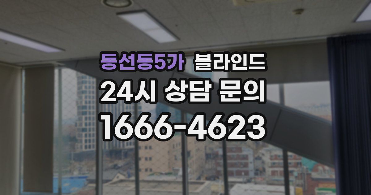 동선동5가 블라인드
